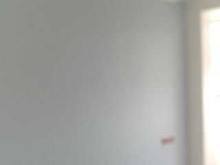 墙、顶面乳胶漆