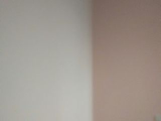 墙、顶面乳胶漆