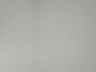 墙、顶面腻子批嵌