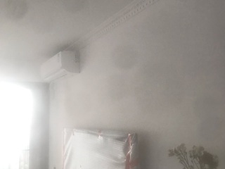 墙、顶面乳胶漆