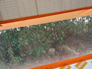 日常巡检