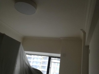 墙、顶面乳胶漆