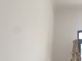 墙、顶面乳胶漆