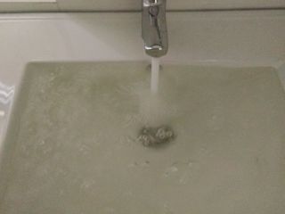 隐蔽工程 验收