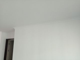 墙、顶面乳胶漆