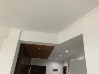 墙、顶面乳胶漆