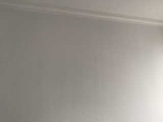 墙、顶面乳胶漆