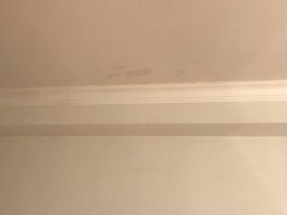 墙、顶面腻子批嵌