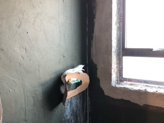 日常巡检