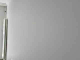 成品门及墙纸铺贴