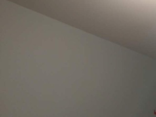 墙、顶面腻子批嵌