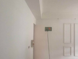 墙、顶面乳胶漆