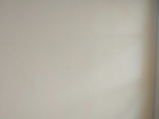 墙、顶面乳胶漆