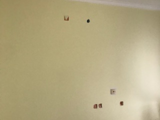墙、顶面腻子批嵌