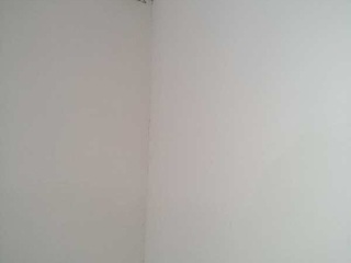 墙、顶面腻子批嵌