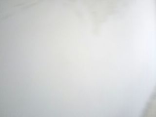墙、顶面腻子批嵌