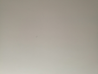 墙、顶面腻子批嵌