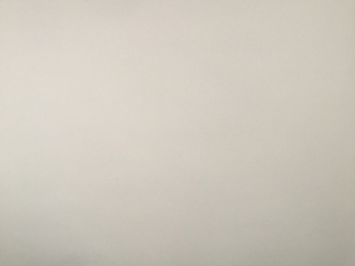 墙、顶面腻子批嵌