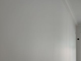 墙、顶面乳胶漆