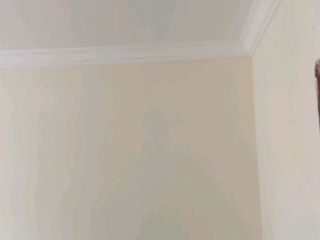 墙、顶面乳胶漆
