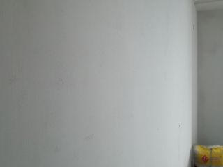 现场木制品造型施作