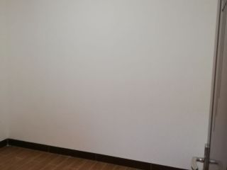墙、顶面腻子批嵌