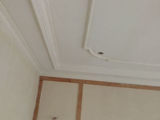 墙、顶面乳胶漆