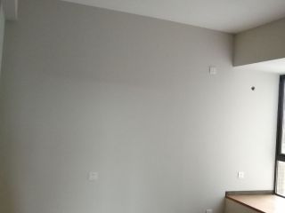 墙、顶面乳胶漆