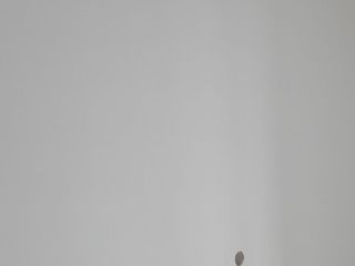 墙、顶面乳胶漆