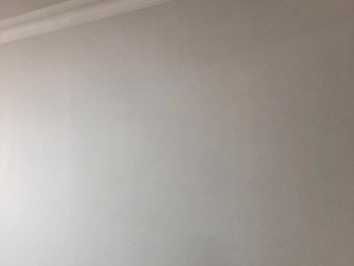 墙、顶面腻子批嵌