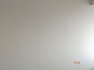 墙、顶面乳胶漆及墙纸铺贴