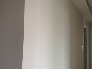 墙、顶面乳胶漆