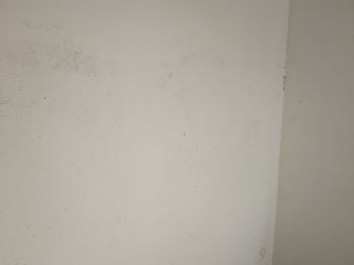 现场木制品造型施作