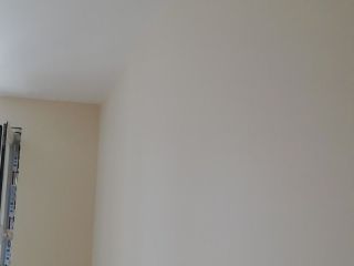 墙、顶面乳胶漆