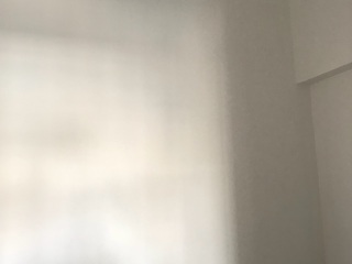 墙、顶面腻子批嵌