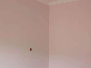 墙、顶面乳胶漆
