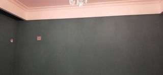 墙、顶面乳胶漆