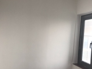 墙、顶面乳胶漆