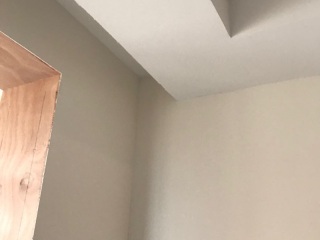 墙、顶面腻子批嵌