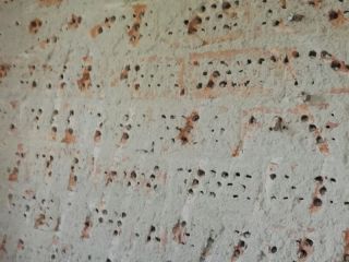 日常巡检