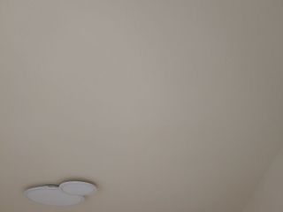 墙、顶面乳胶漆