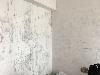 日常巡检