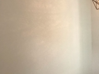 墙、顶面腻子批嵌
