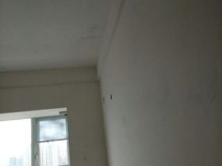 墙、顶面腻子批嵌