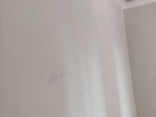 墙、顶面腻子批嵌