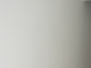 墙、顶面腻子批嵌