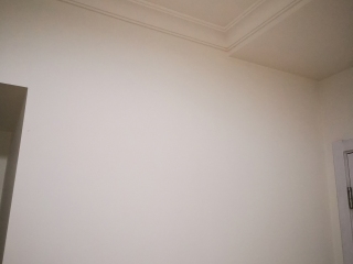 墙、顶面乳胶漆