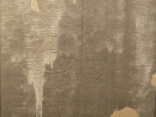 墙、顶面腻子批嵌