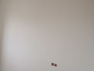 墙、顶面乳胶漆