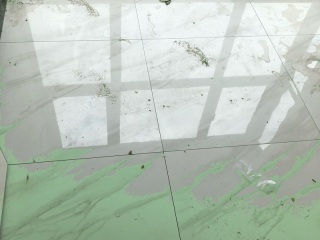 日常巡检